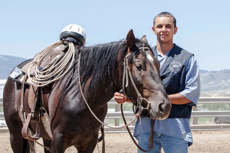 The Role of Mustangs in Therapy Programs