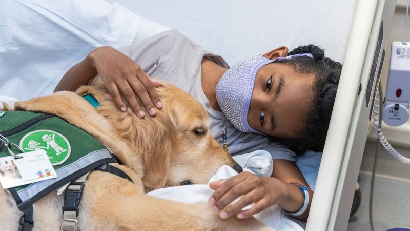 Therapy Dog Comforts Hospital Patients