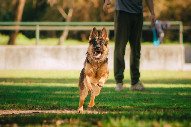 Time-Consuming Training