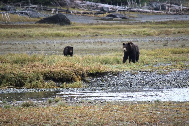 Tongass National Forest, Alaska