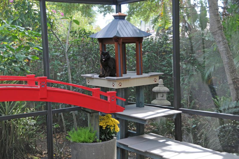 Traditional Teahouse