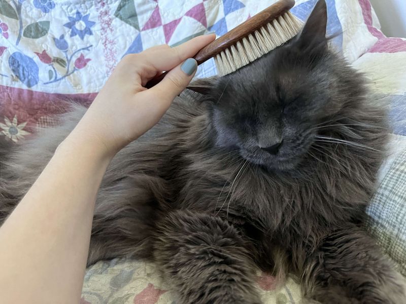 Try Gentle Brushing