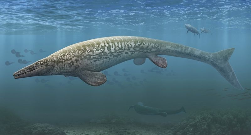 Tylosaurus