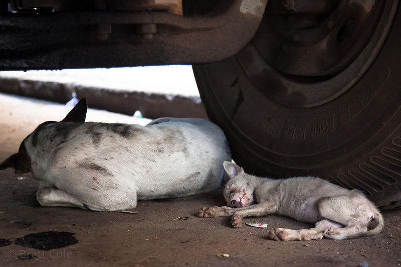 Underneath a Car