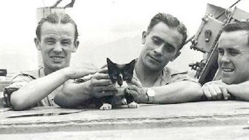 Unsinkable Sam the Ship Cat