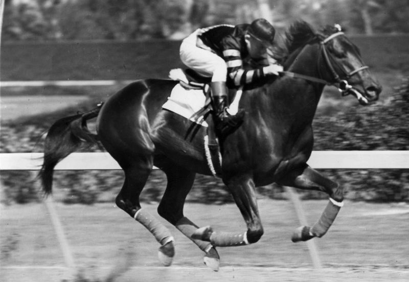 War Admiral