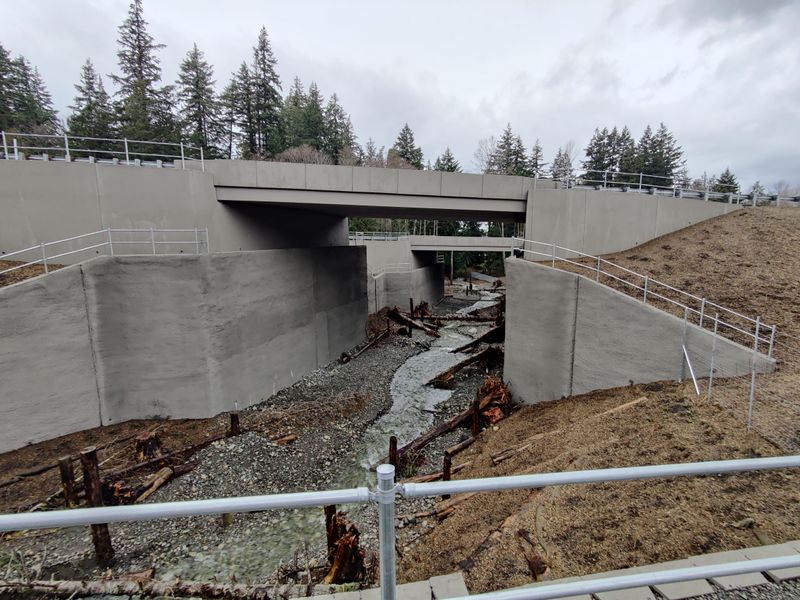 Washington's Salmon Underpasses