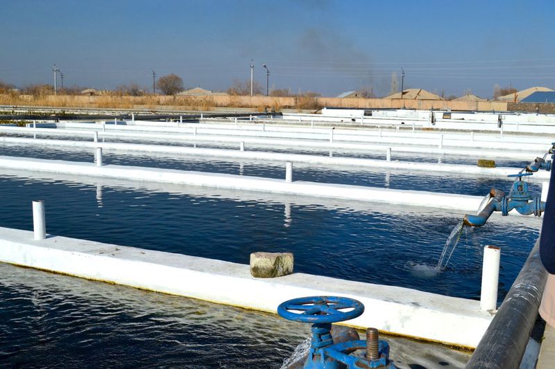 Water Usage