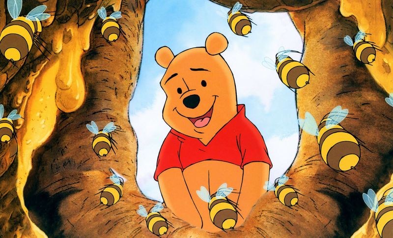 Winnie the Pooh