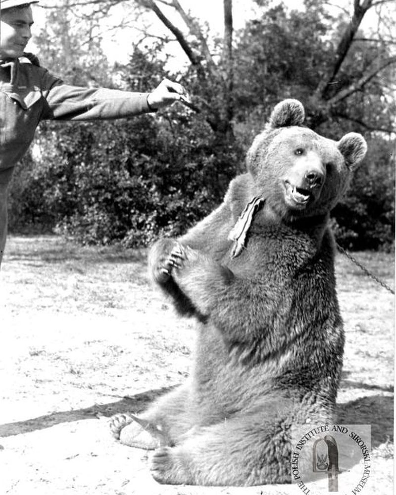 Wojtek the Bear