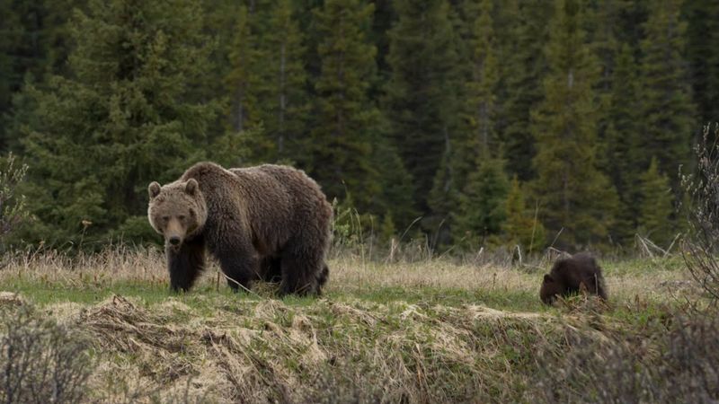 Yoho National Park, British Columbia