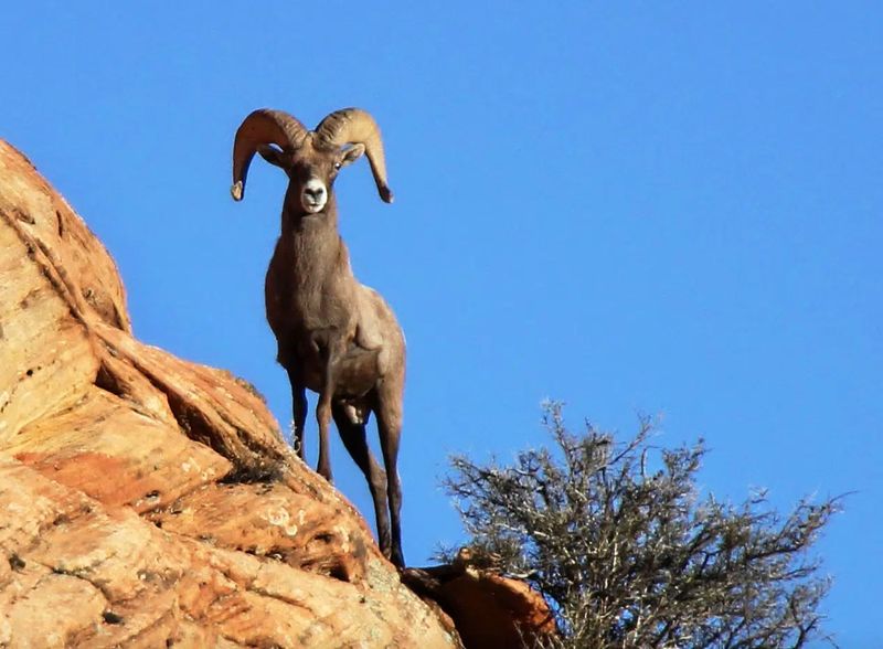 Zion National Park