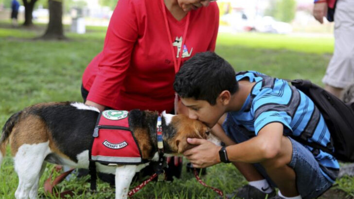 dogs-with-unshakable-courage-in-the-face-of-danger