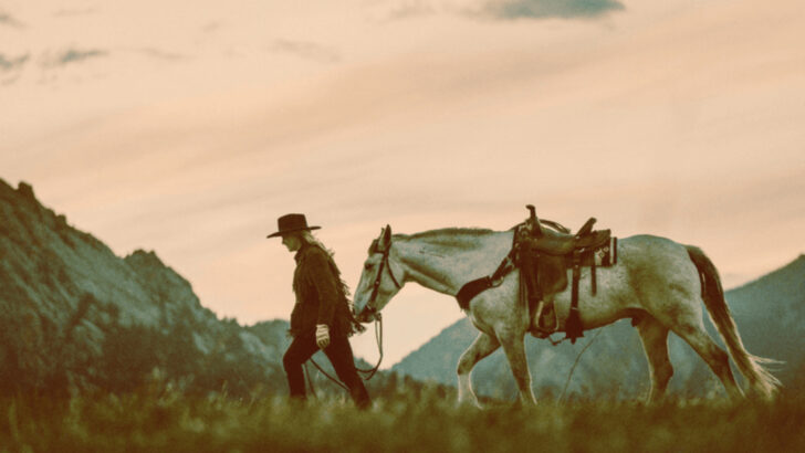 incredible-facts-about-the-history-of-horses-in-america