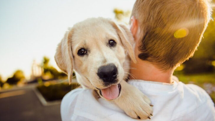 16 Ways Dogs Help Ease Anxiety And Depression