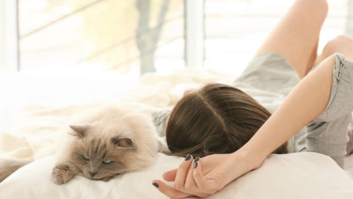 15 Ways to Tell If Your Cat Sees You as Family or Just a Roommate