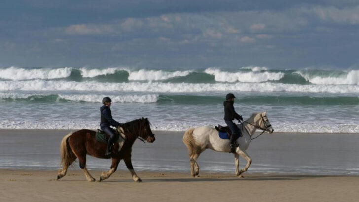 13 Reasons Why Horses Make the Best Adventure Companions