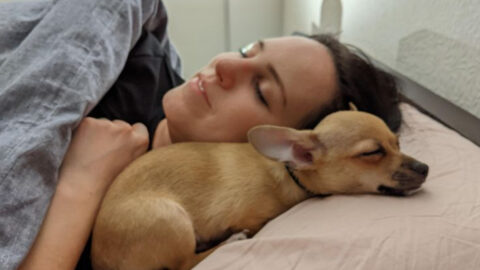 14 Dog Breeds That Refuse to Sleep Without a Human Nearby (And Why