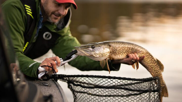 14 Pike Fishing Tips That Will Take Your Skills to the Next Level