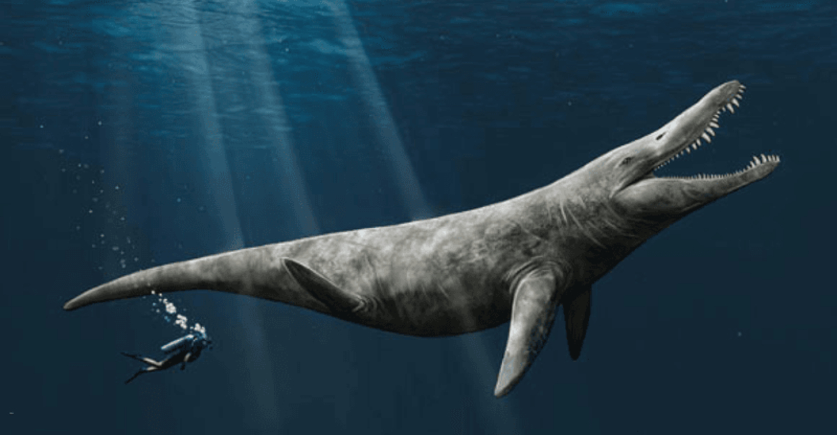14 Unbelievable Revelations from This Colossal Pliosaur Fossil