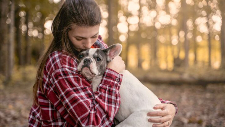 18 Ways Dogs Teach Us About Unconditional Love