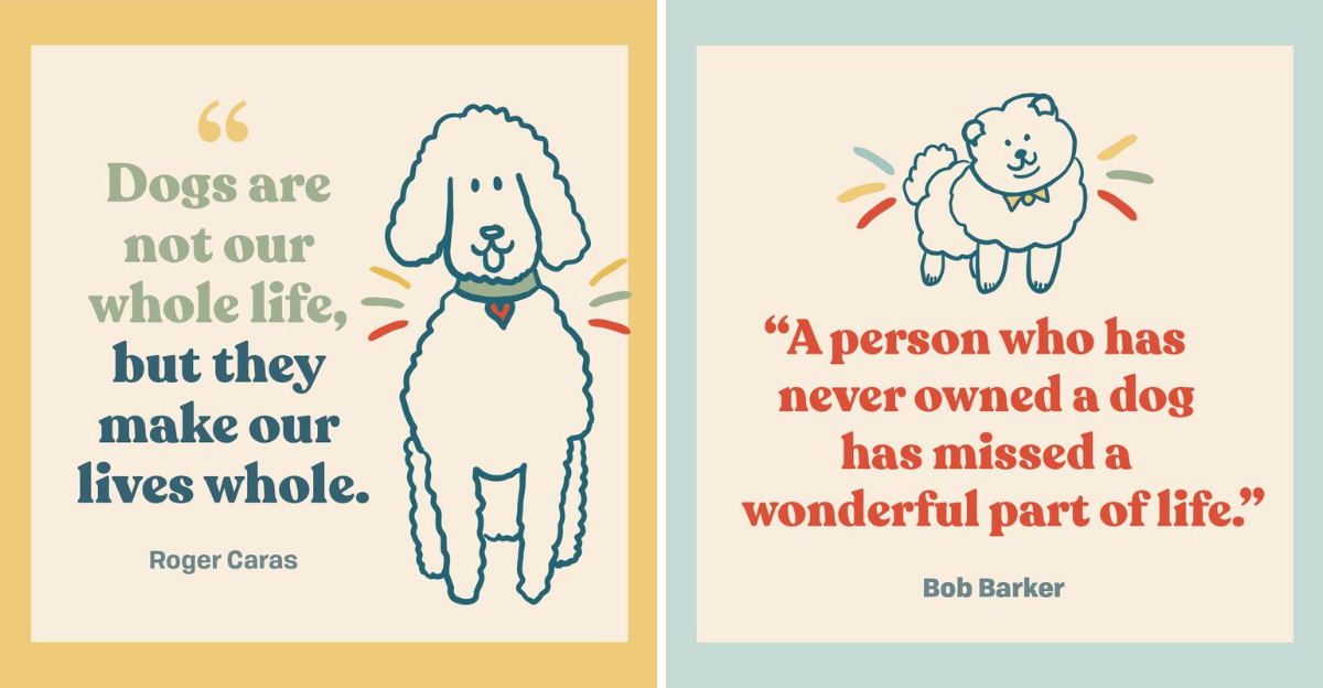 23 Things Your Dog Would Want You To Know After They’ve Gone ...
