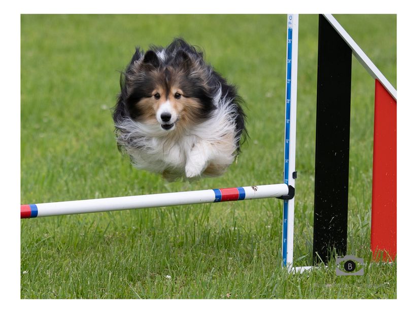 Agility