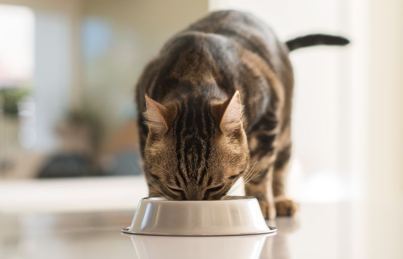 Altered Eating Habits