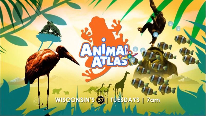 Animal Atlas