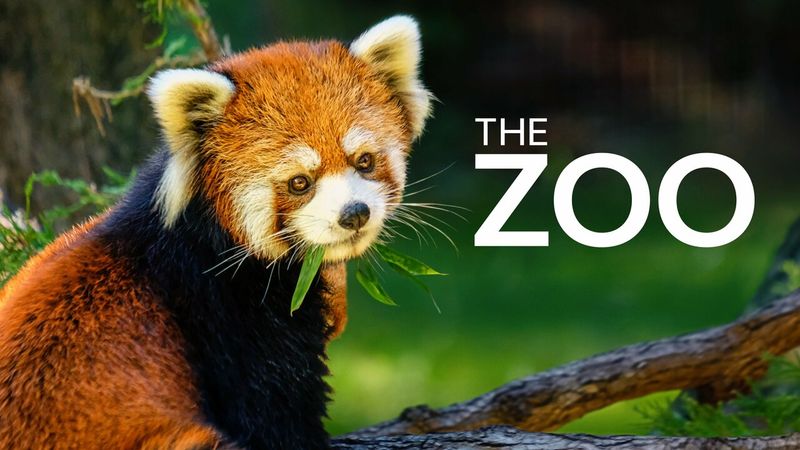 Animal Planet's The Zoo