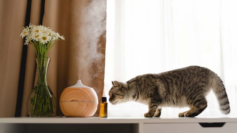 Aromatherapy