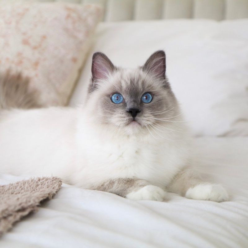 Blue Eyes