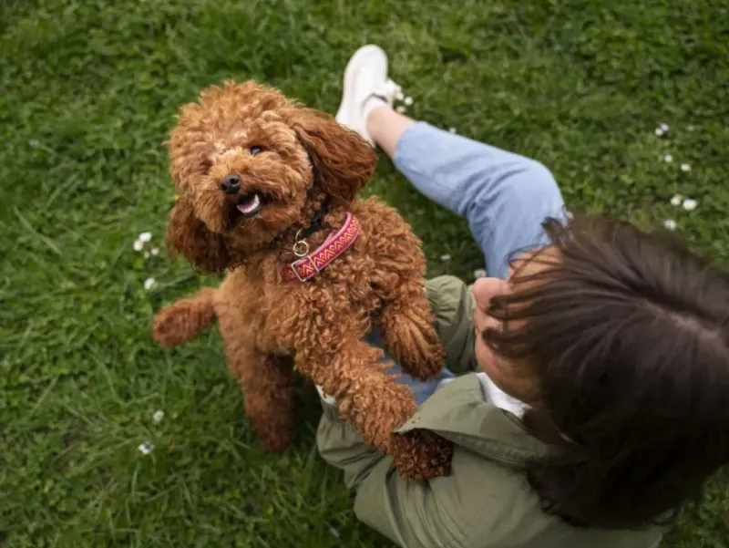 Bonding Through Activities