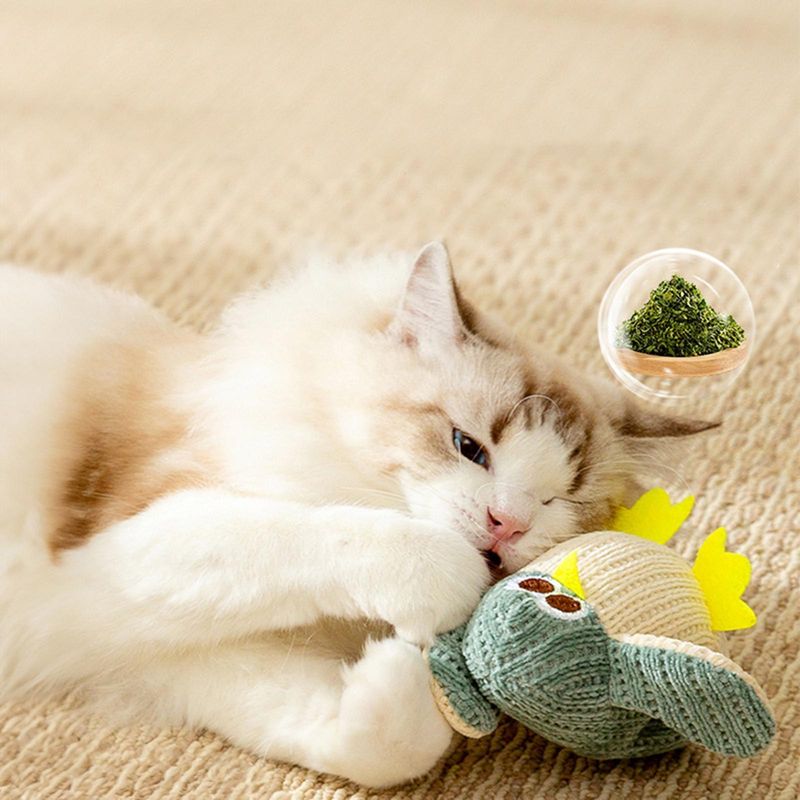 Catnip Toys