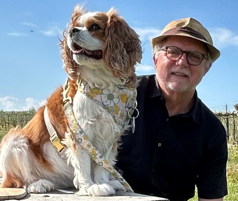 Cavalier King Charles Spaniel