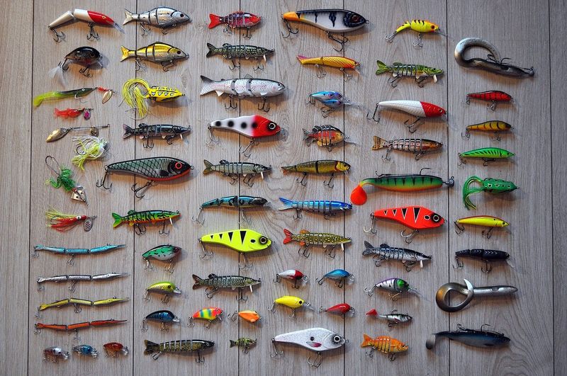 Choose the Right Lure