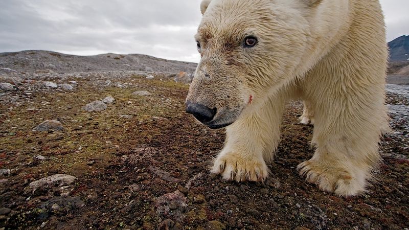 Climate Change Threats