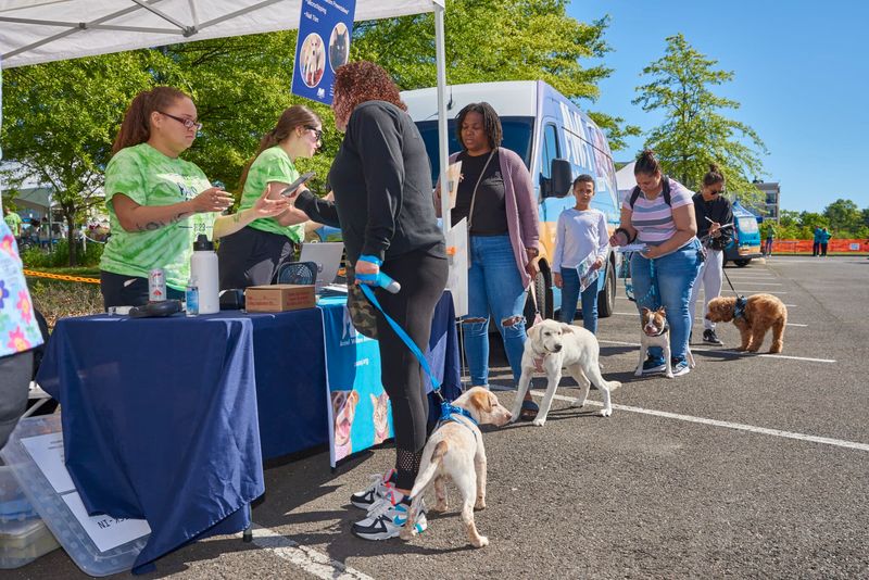 Community Dog Events