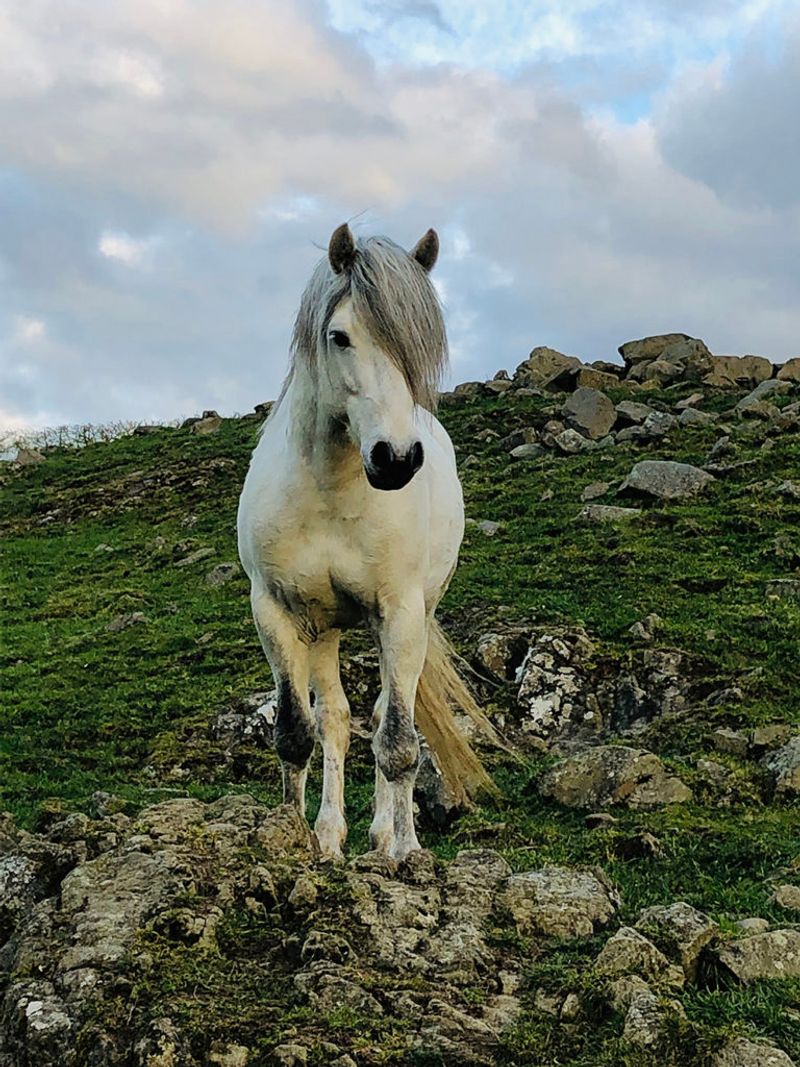 Connemara