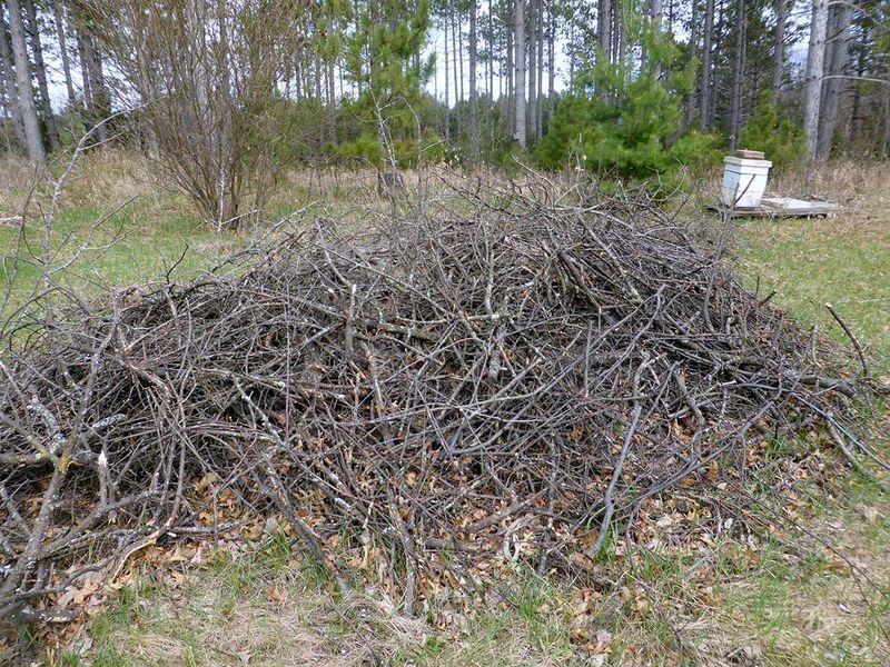 Create Brush Piles and Shelters