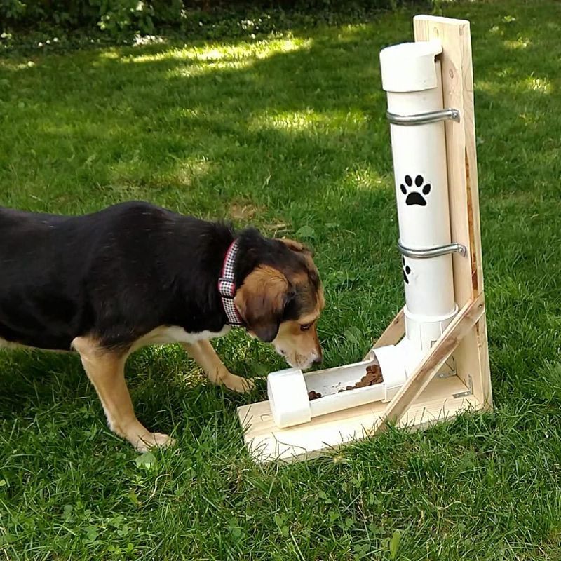 Create Safe Feeding Stations