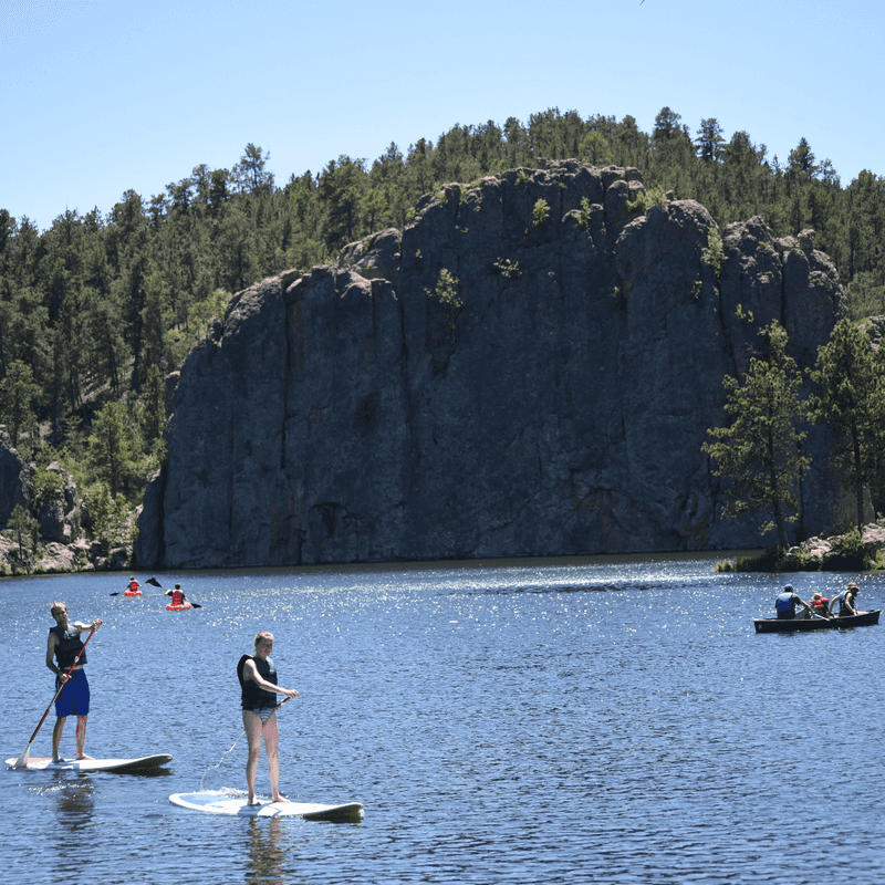 Custer State Park, South Dakota