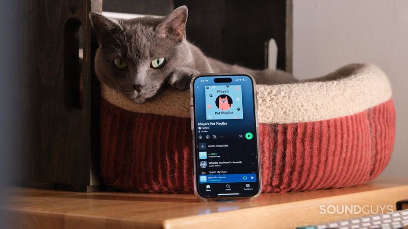 Customized Playlists for Cats