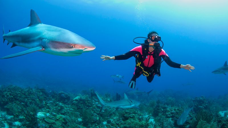 Dangerous Reef, Australia