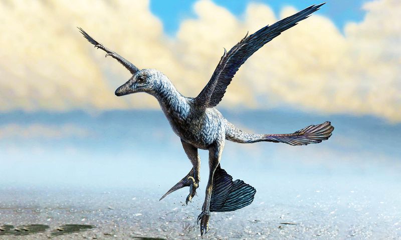 Dinosaurs with Flight