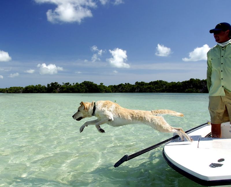 Dog Beach, Key West, Florida