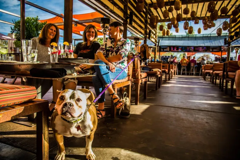 Dog-Friendly Restaurant Patios