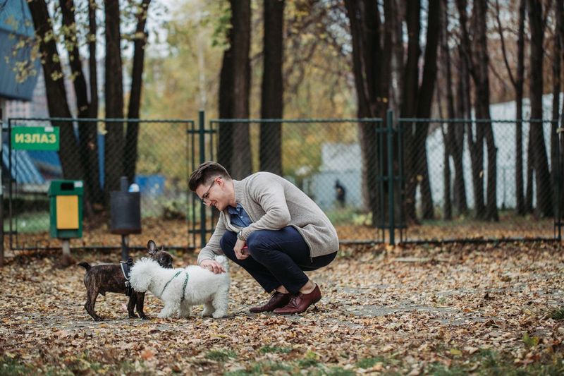 Dog Park Politics