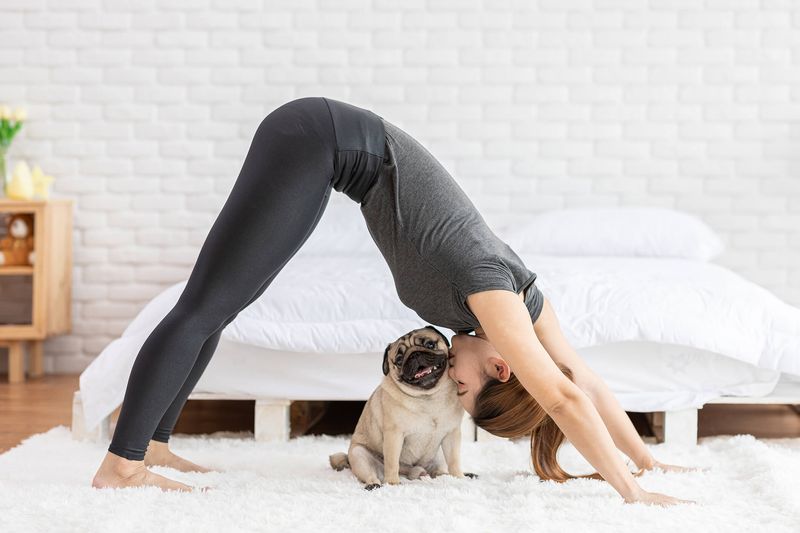 Dog Yoga Sessions