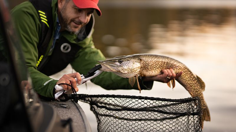 Employ Slow Retrieve Techniques